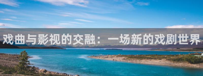 97午夜电影在线观看