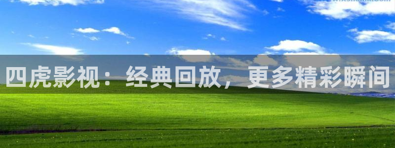 美国成人午夜影院