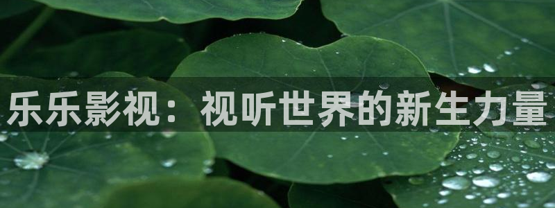 午夜剧场激情影院